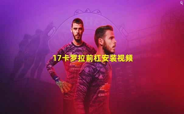 17卡罗拉前杠安装视频