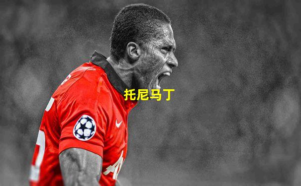托尼马丁