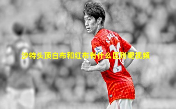 沙特头顶白布和红布有什么区别呢视频