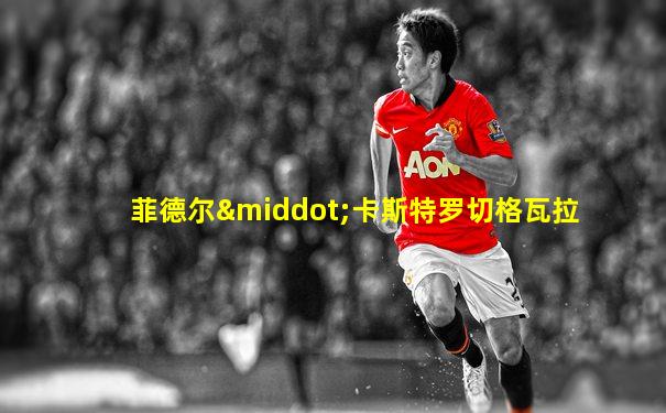 菲德尔·卡斯特罗切格瓦拉