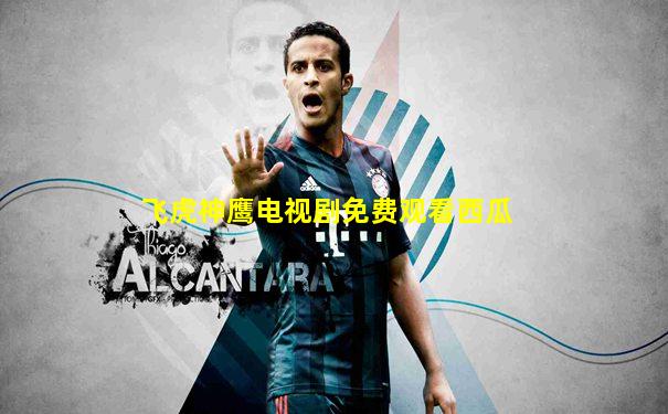 飞虎神鹰电视剧免费观看西瓜